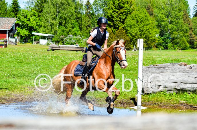 Sally Jakobsson Fall.02